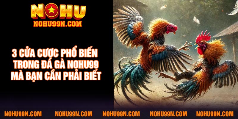 3 cửa cược phổ biến trong đá gà Nohu99 mà bạn cần phải biết